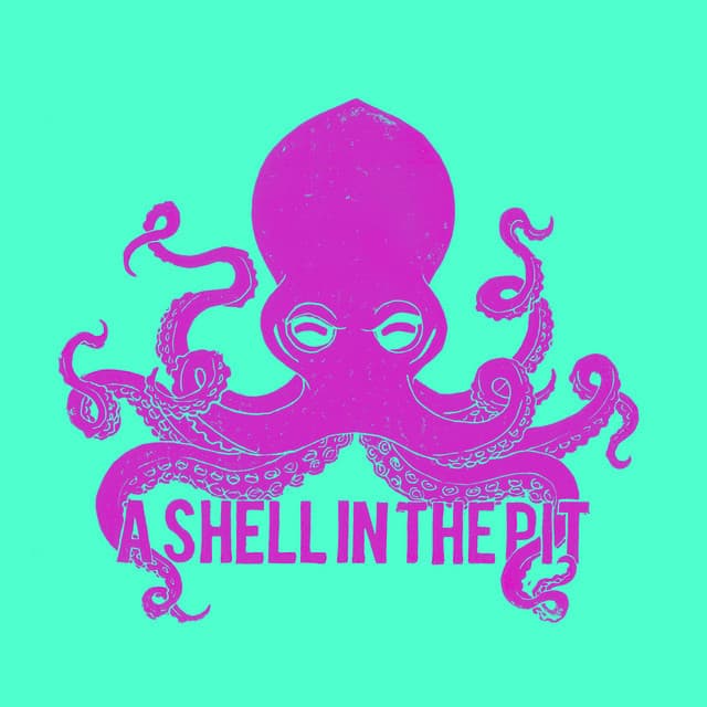 A Shell In The Pit artist profile image