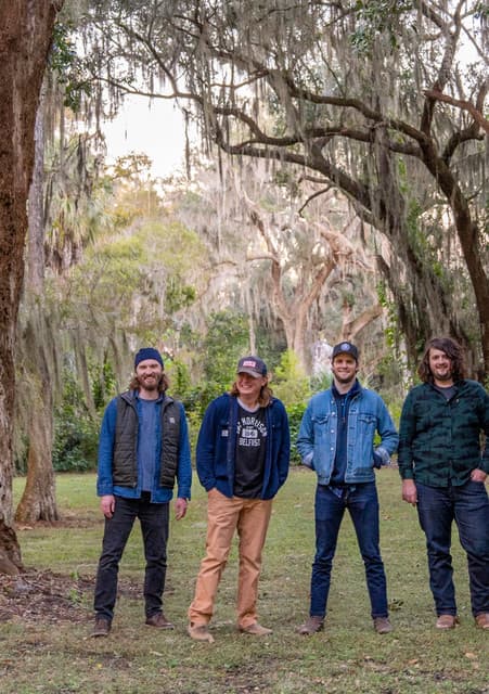 The Wooks artist profile image