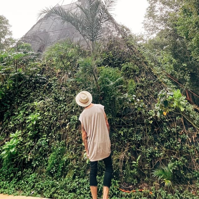 N2N artist profile image