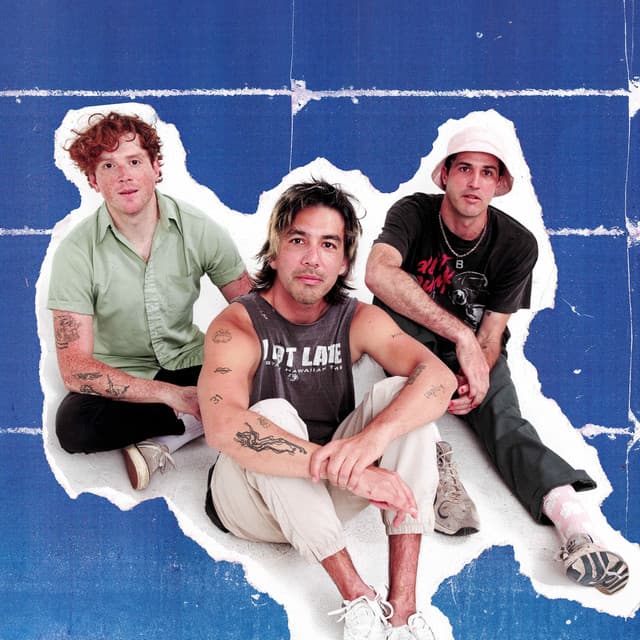 FIDLAR's artist profile image