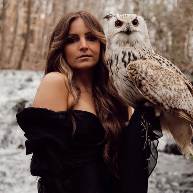 Brit Taylor's artist profile image