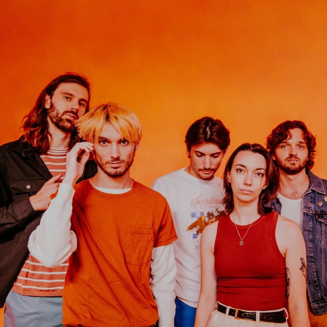 Social Cinema's artist profile image