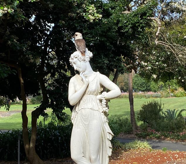 Stephanie McCallum artist profile image