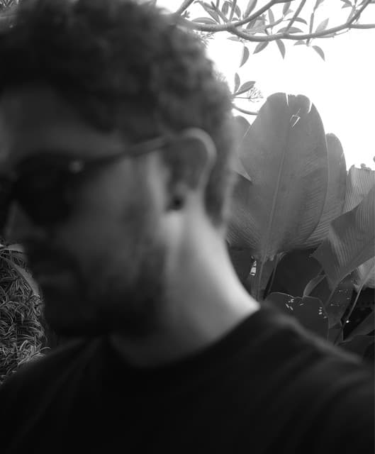 ddp artist profile image