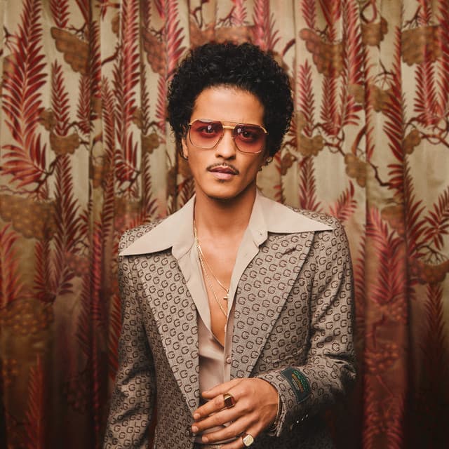 Bruno Mars's artist profile image