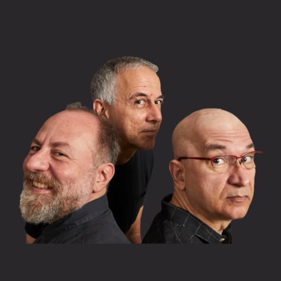 Os Paralamas Do Sucesso artist profile image