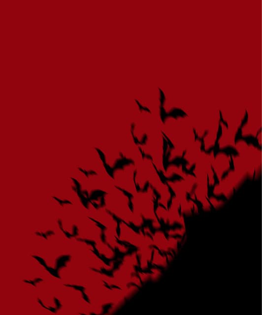 Balmora artist profile