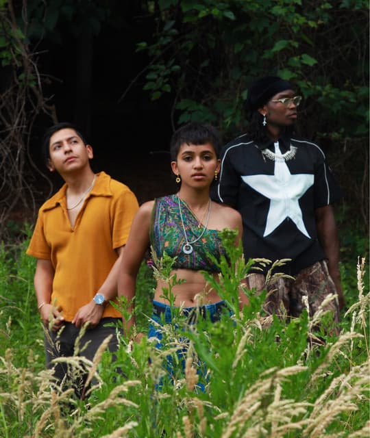 Pinkshift artist profile image