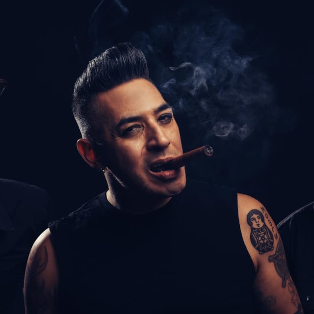 The Brains artist profile image
