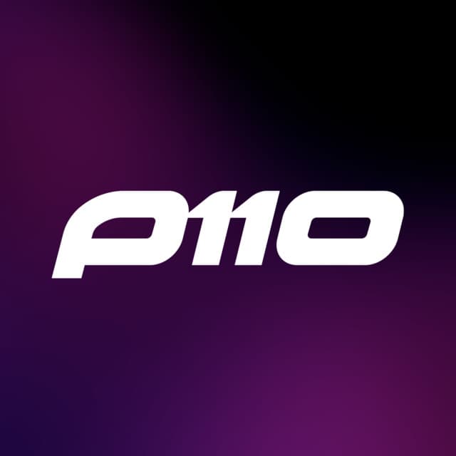 P110 artist profile image