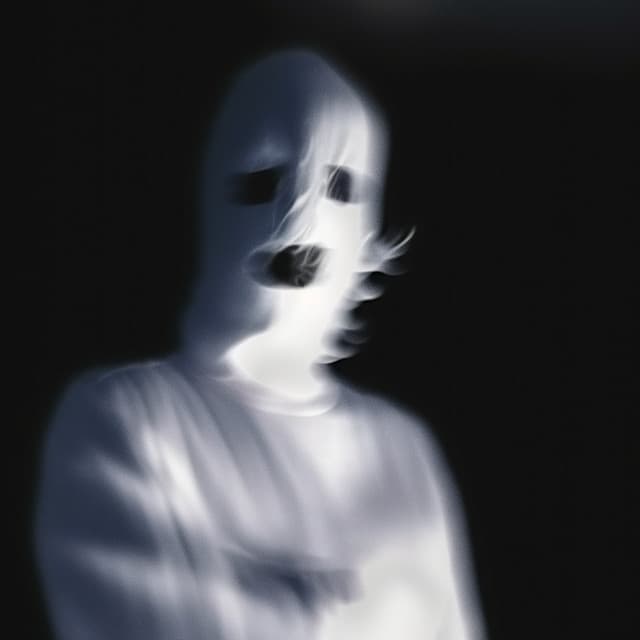 hittrr artist profile image