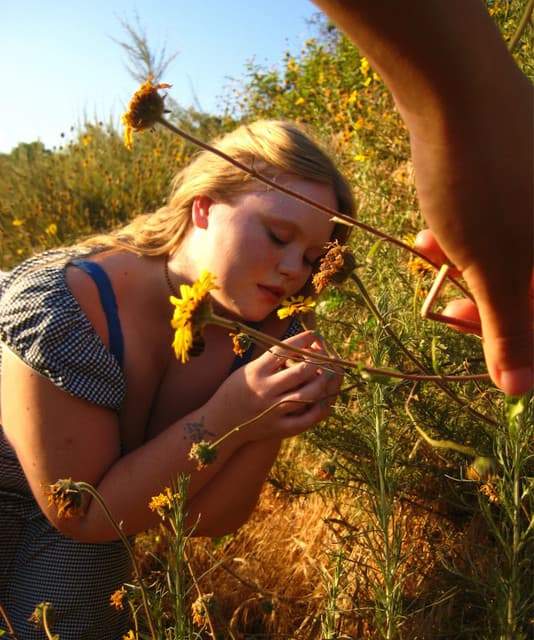 juliet sunflower artist profile image