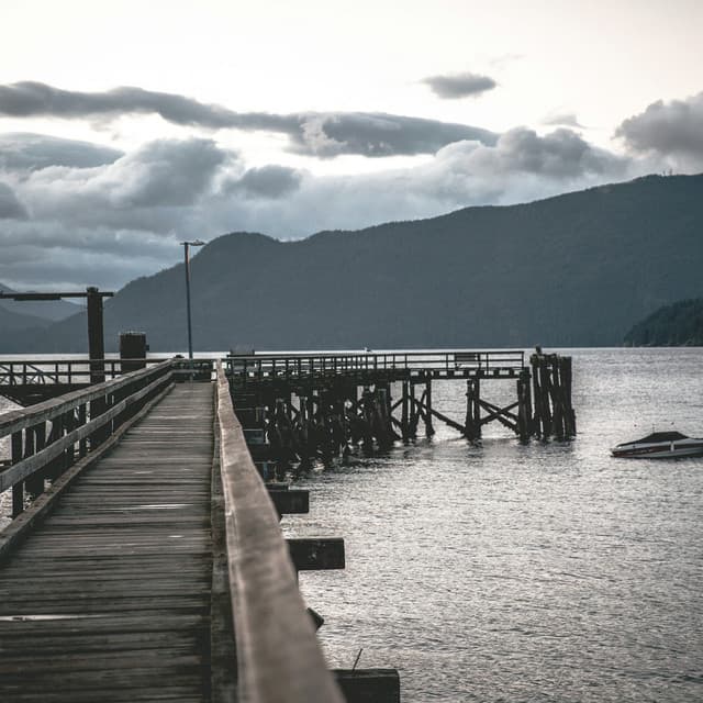 Been One Saban artist profile image