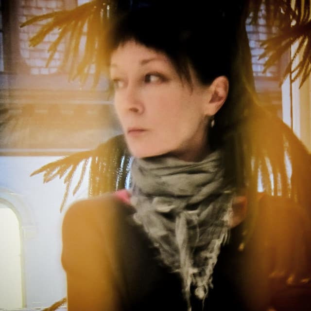 Anna Domino artist profile image