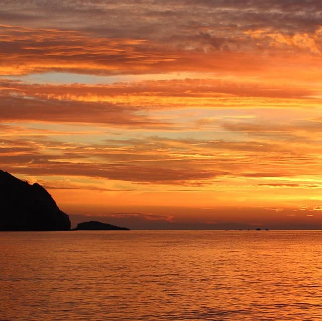 Meditation Spa artist profile image