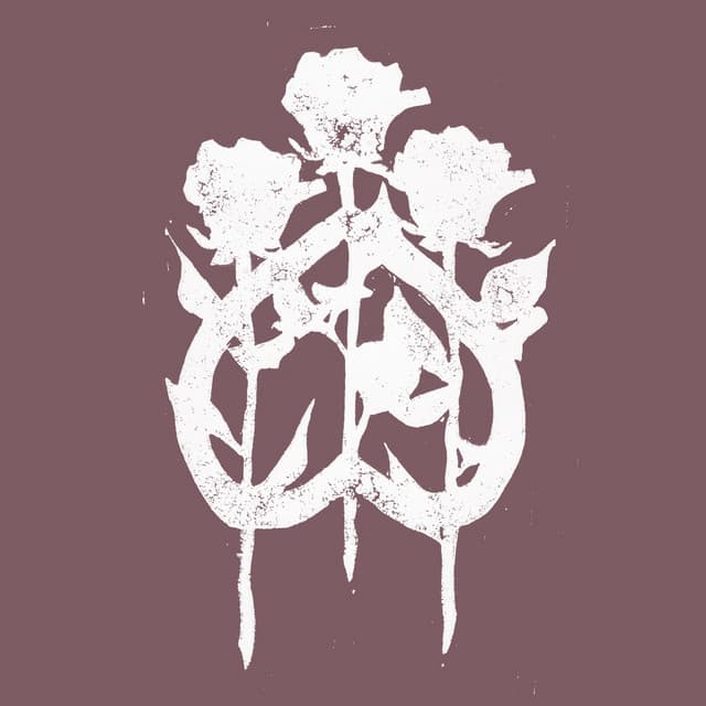 Birds in Row artist profile image