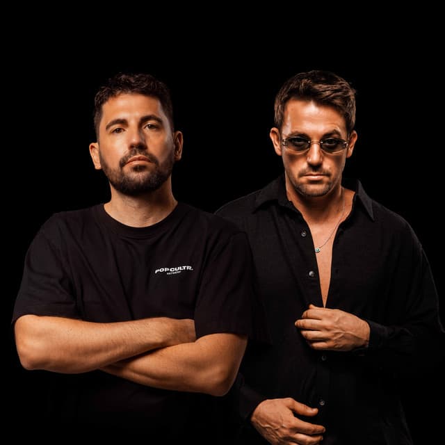 Dimitri Vegas & Like Mike artist profile image