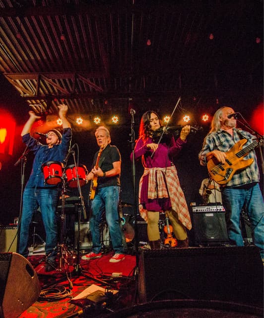 The Ozark Mountain Daredevils artist profile image
