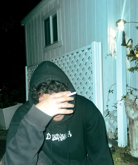 doan artist profile image