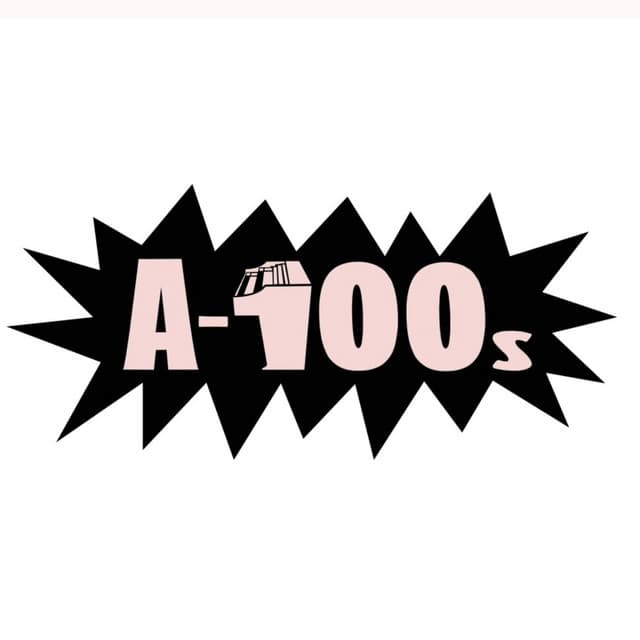 A-100s artist profile