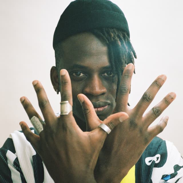 WAYNE SNOW artist profile image