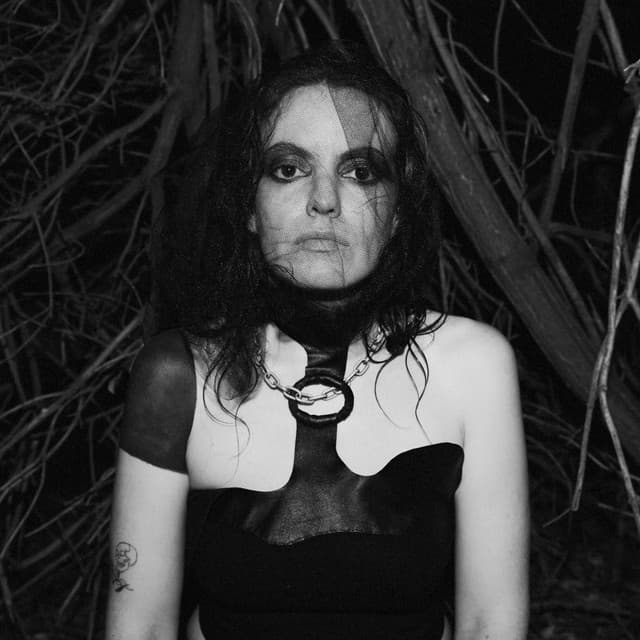 Lana Del Rabies artist profile image