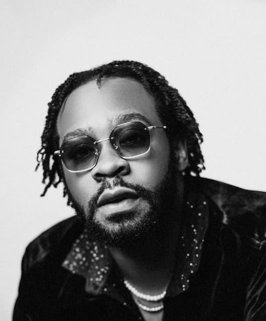 WANI artist profile image