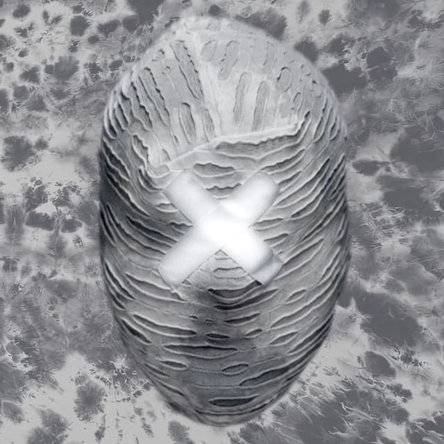 XANAKIN SKYWOK artist profile image