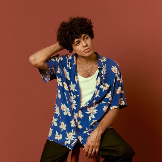 Leo Middea artist profile image