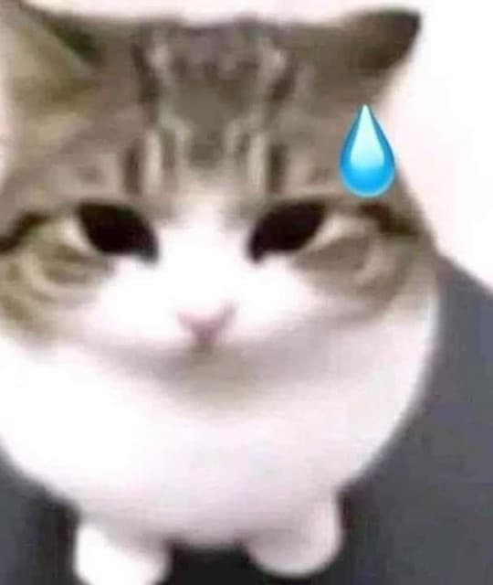 lisa_wuffwuff artist profile image