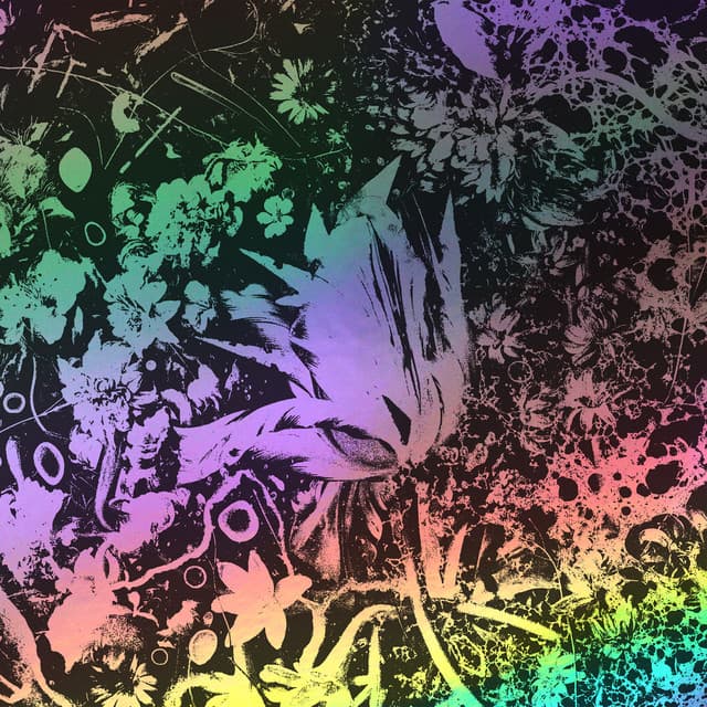 Converge's artist profile image