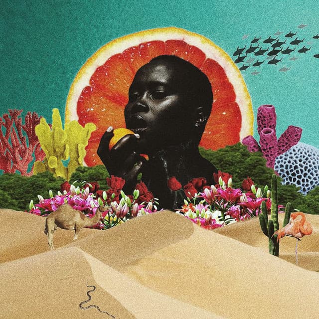 Kanticos artist profile image