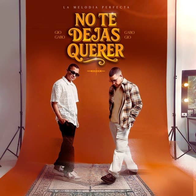 La Melodia Perfecta artist profile image