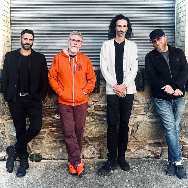 Perpetual Groove artist profile image