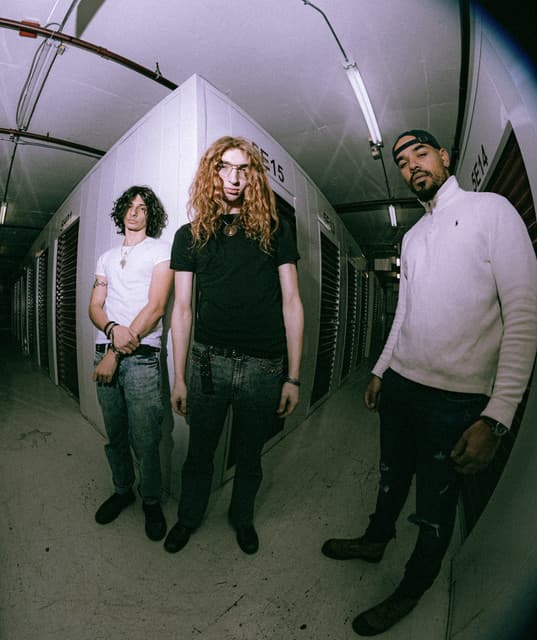 Druidess artist profile