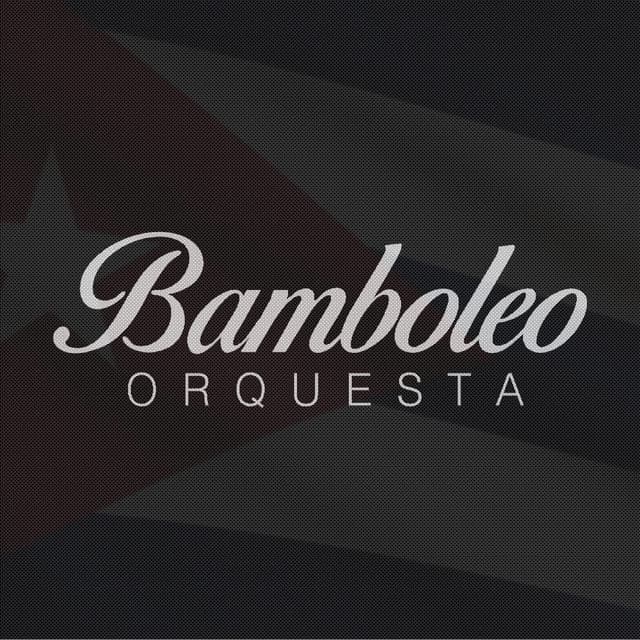 Bamboleo artist profile image