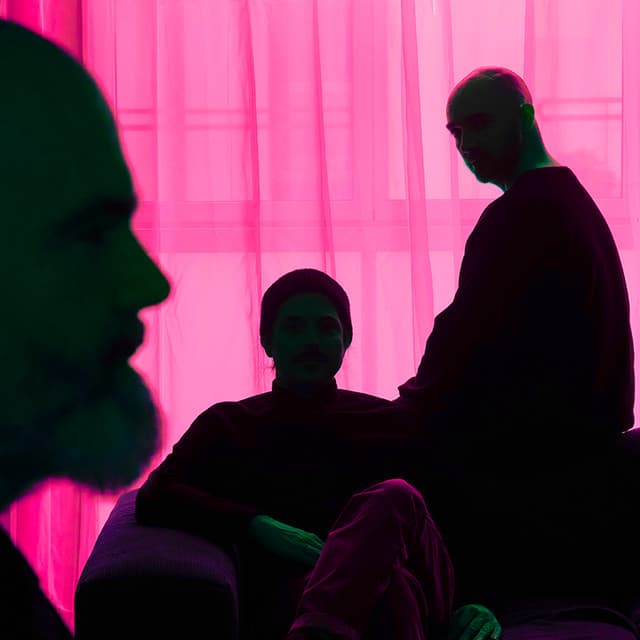 Roseaux artist profile image