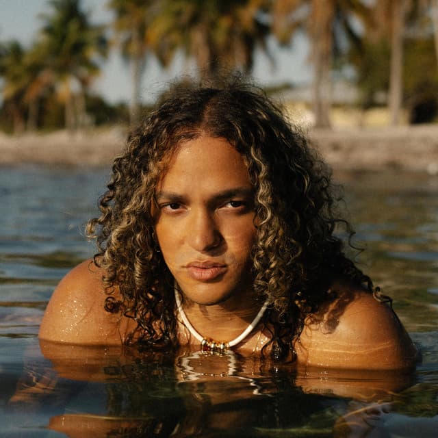 Jerry Di artist profile image