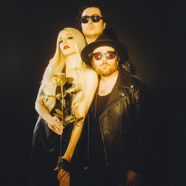 Cannons's artist profile image