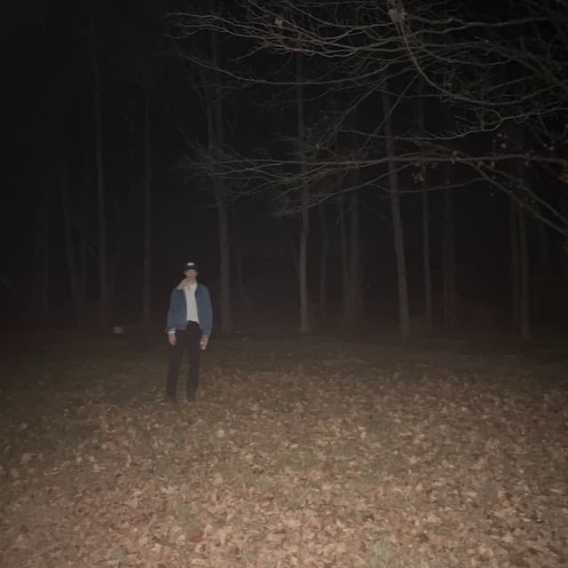 Wicca Phase Springs Eternal's artist profile image