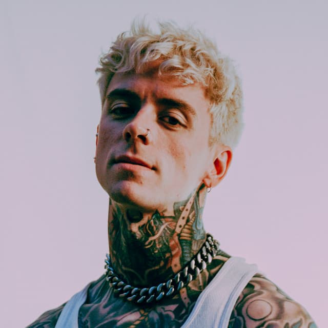 Phix artist profile