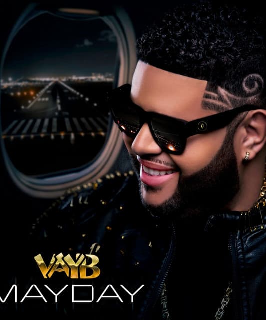 Vayb artist profile image