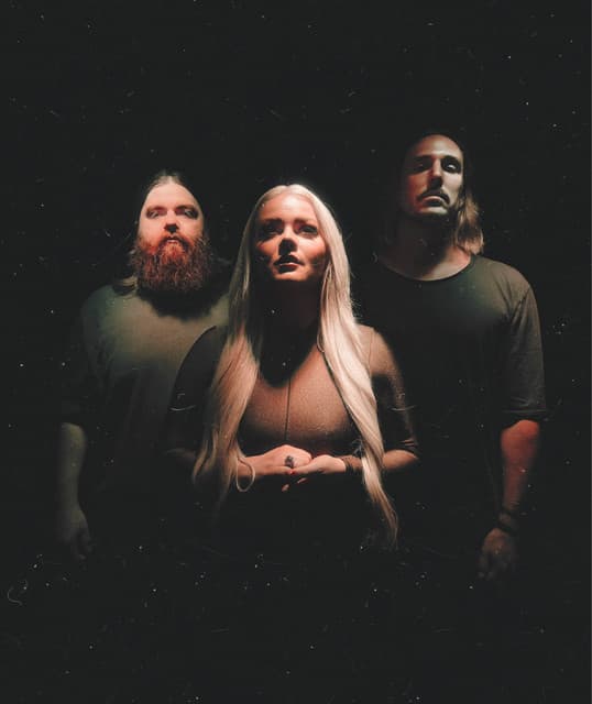 Tulip artist profile image