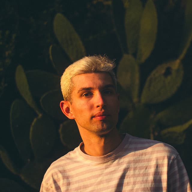 AK artist profile image