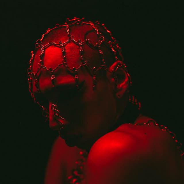 Metaraph's artist profile image