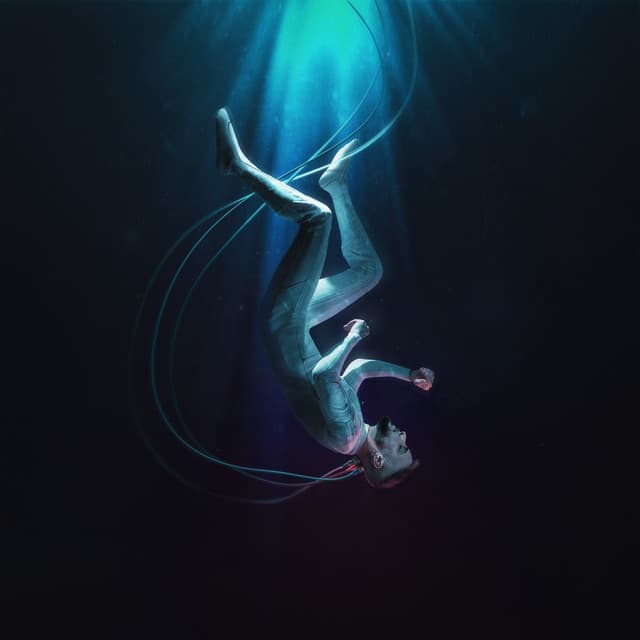 Diogo Piçarra artist profile image