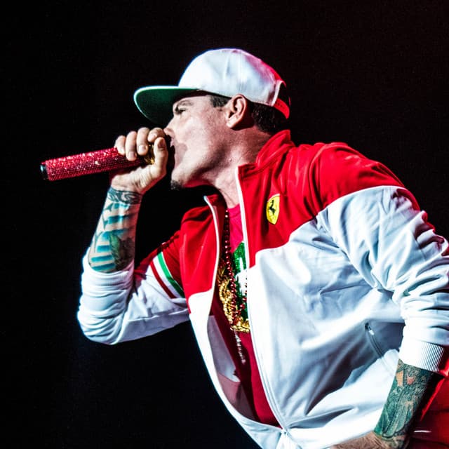 Vanilla Ice's artist profile image