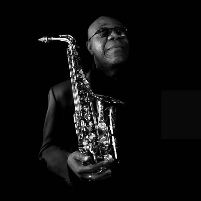 Manu Dibango artist profile image