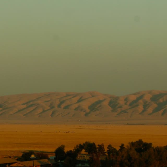 Kylo Pest artist profile image