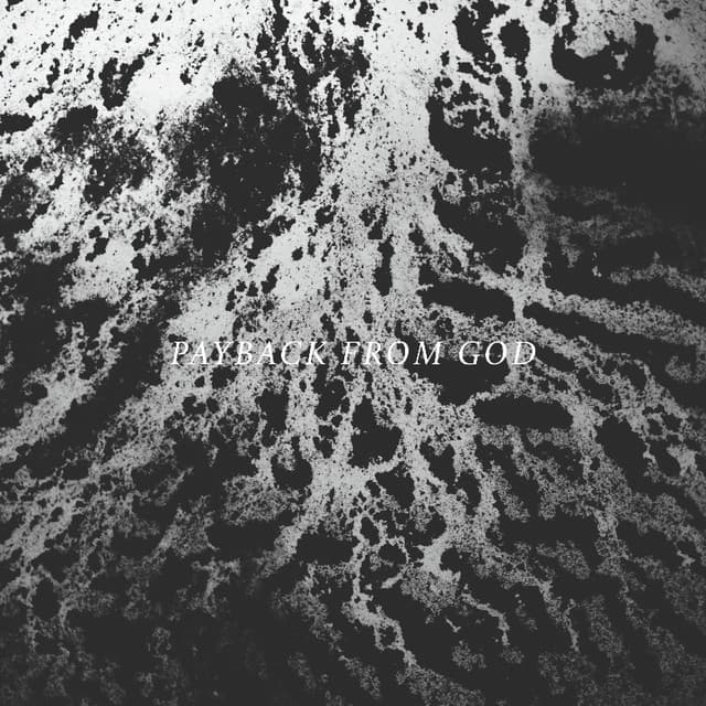 New Miserable Experience artist profile image